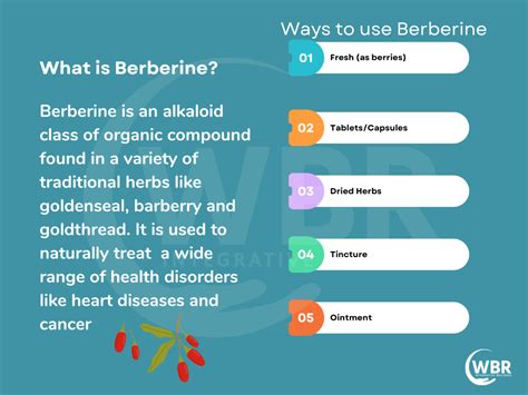 berberine and neomycin.